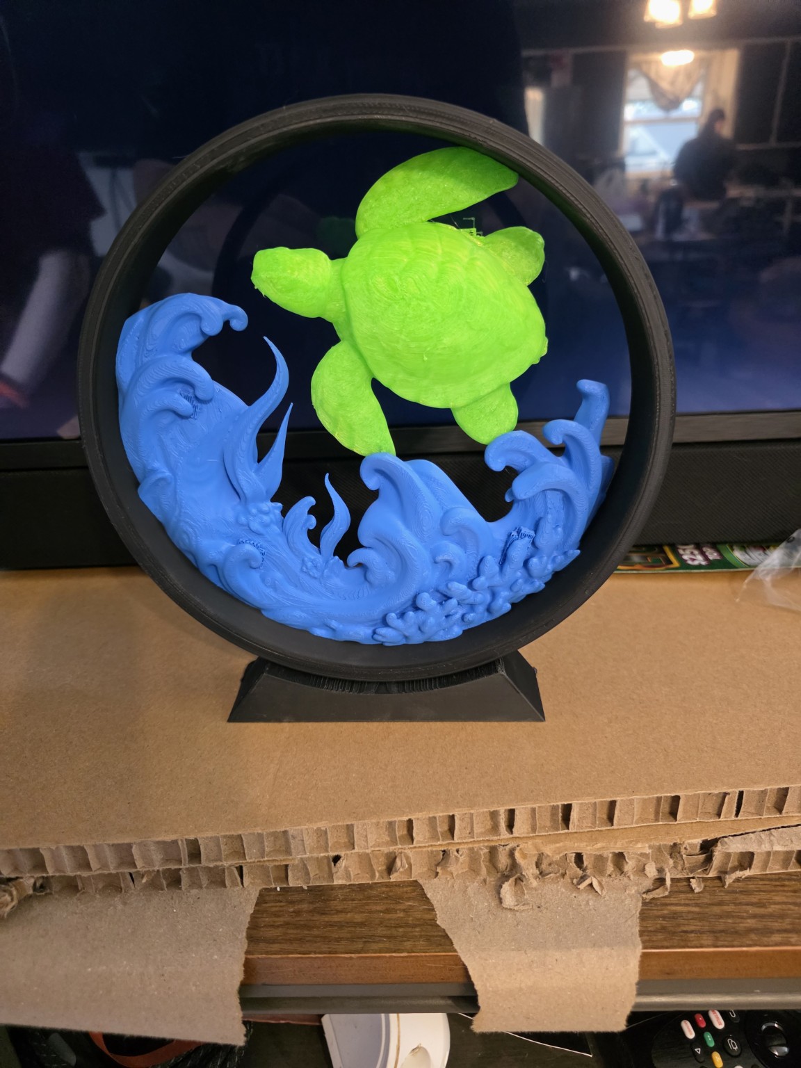 Ocean Turtle Display